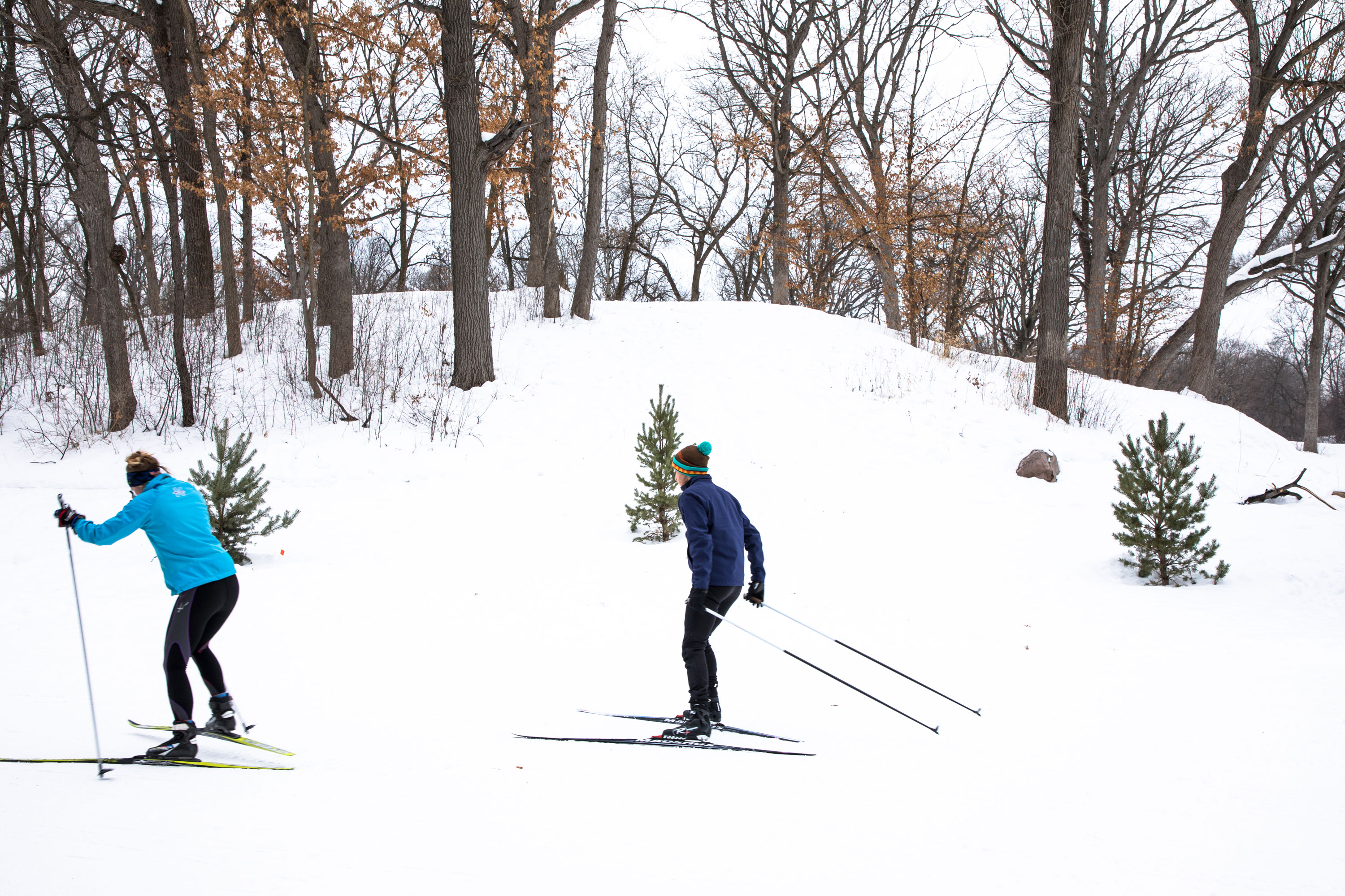 Cross-country skiers at Theodore Wirth Park