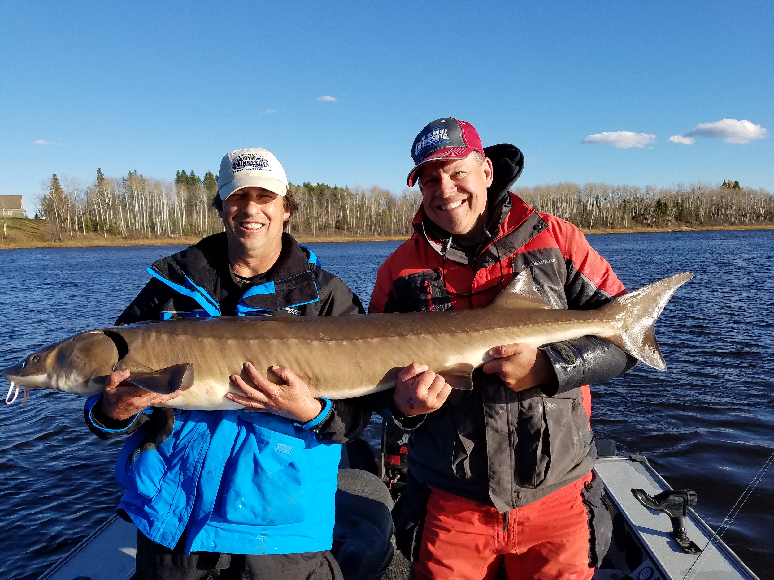 A couple fisherman with a freshly caught sturgeon on Lake of the Woods
