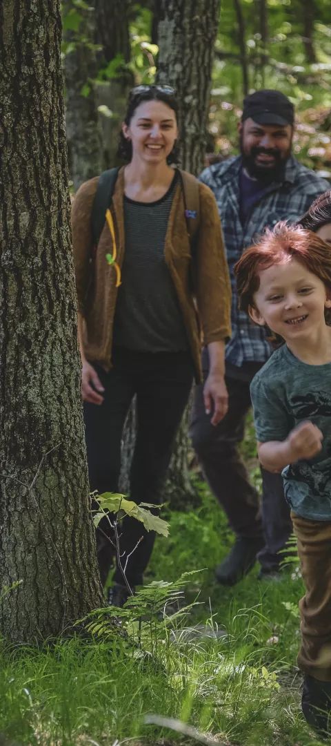 family hiking through the woods single file