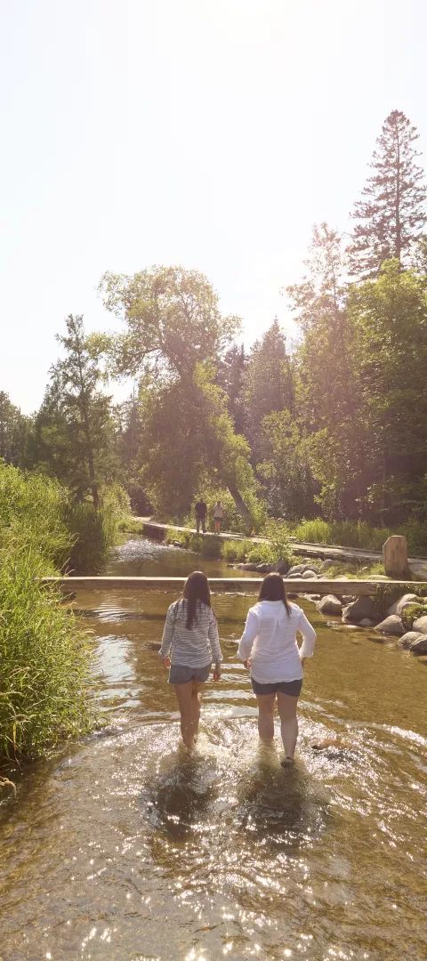 Two women wading in the Mississippi River at Itasca State Park
