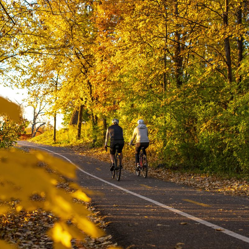 Two bicyclists on the Cedar Lake Trail