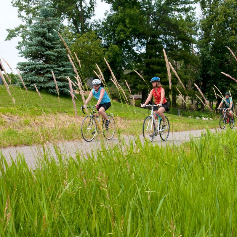 Bicyclists on the Paul Bunyan State Trail