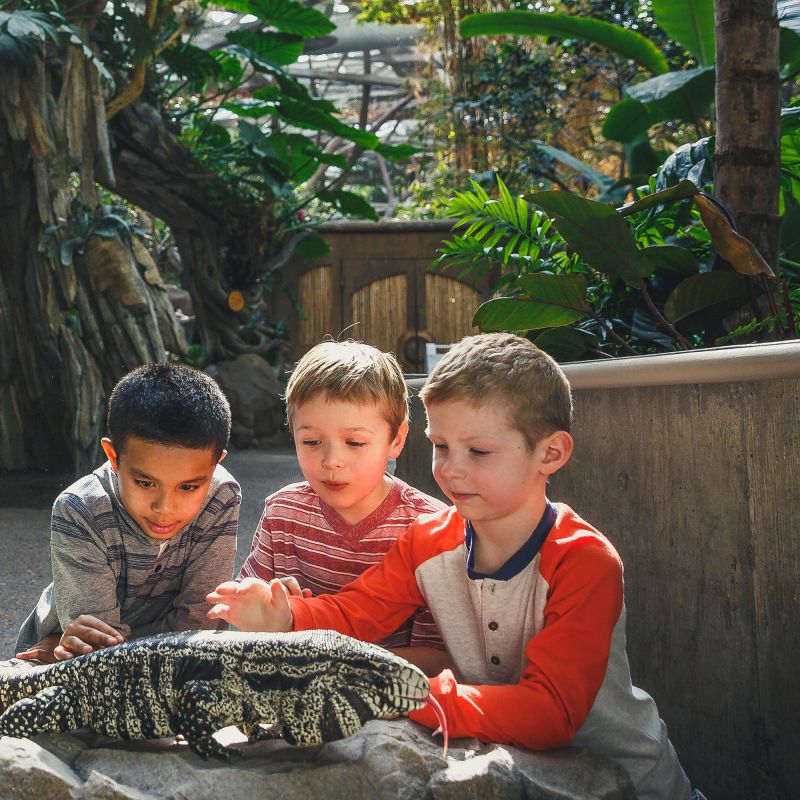 Kids with reptile at Minnesota Zoo