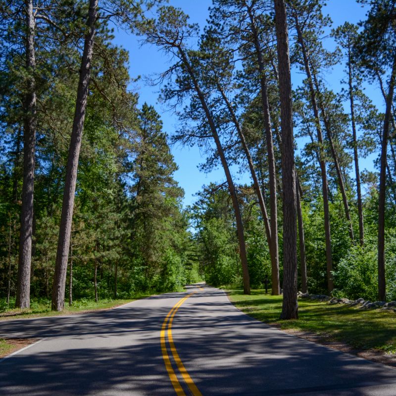 The Wilderness Drive in Itasca State Park