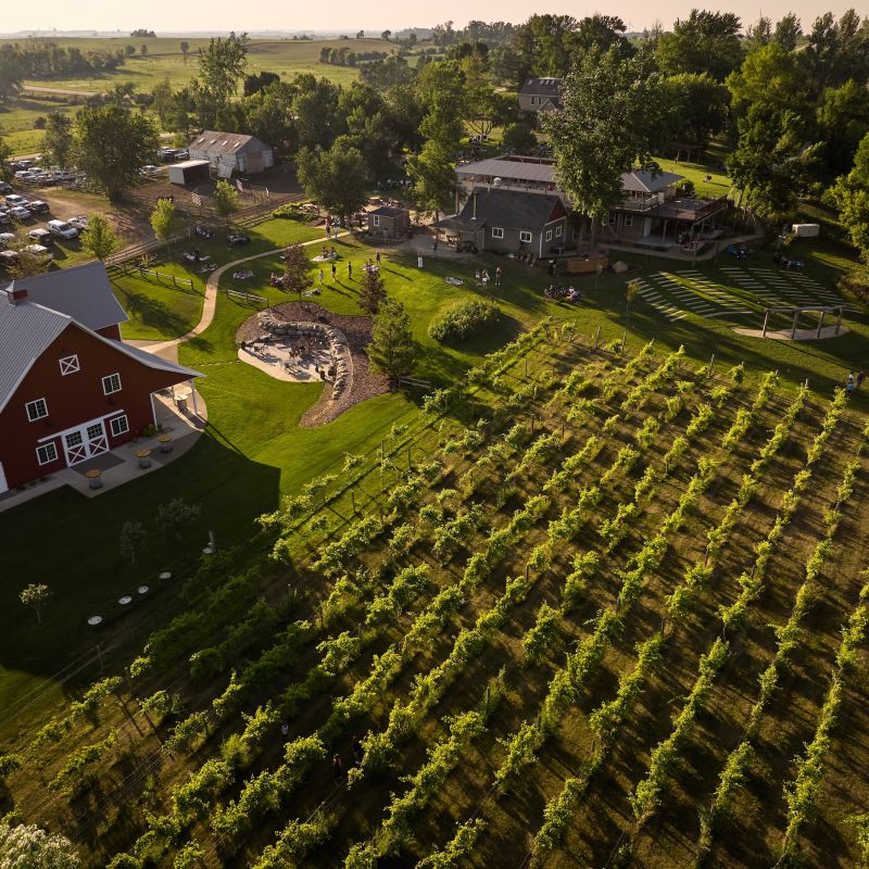 Pizza night at Red Barn Farm in Northfield
